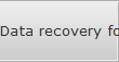 Data recovery for Solon data